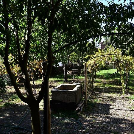 Casa Dona Amelia Villa Idanha-a-Nova Dış mekan fotoğraf